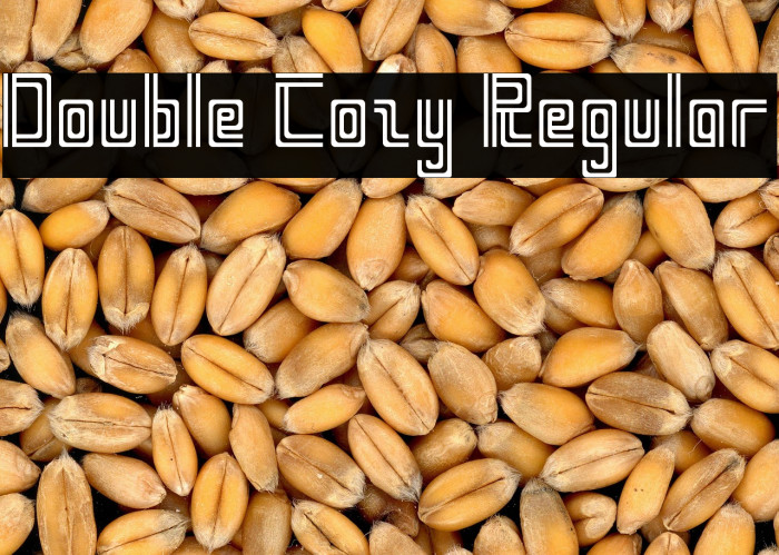 Double Cozy Regular Example 1
