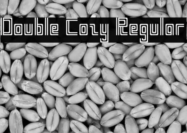 Double Cozy Regular Caratteri examples