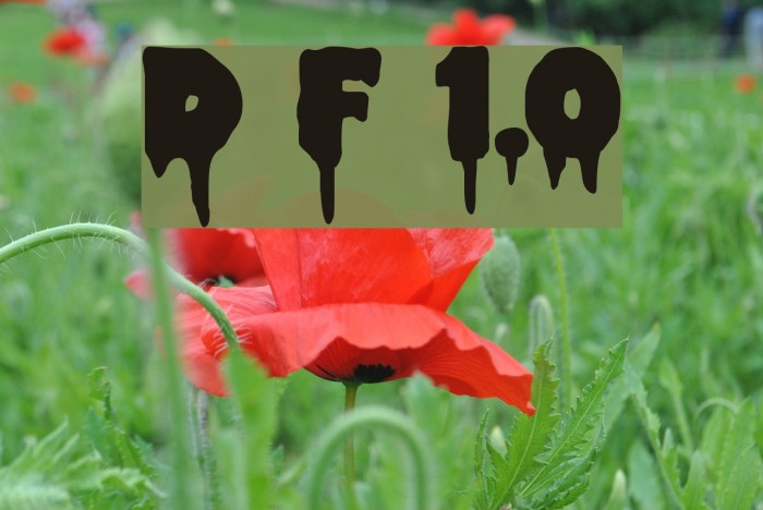 Double Feature 1.0 Example 1