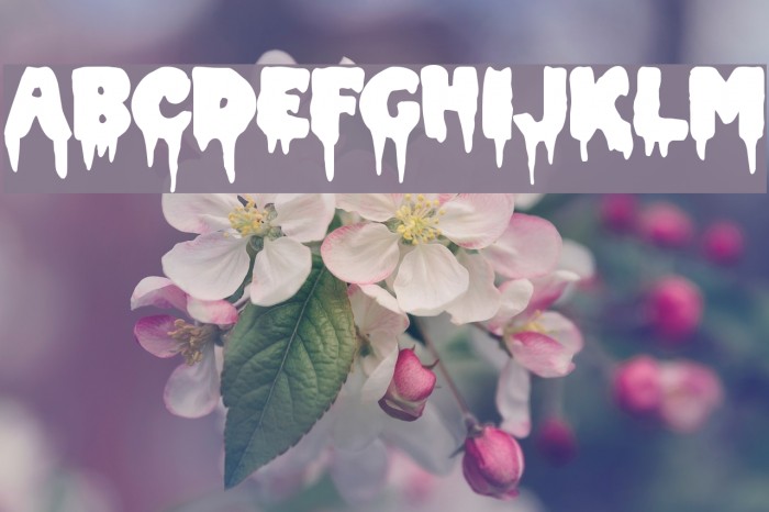 Double Feature 1.0 Font examples