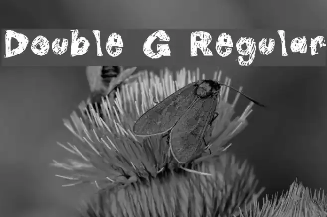 Double G Regular Example 3