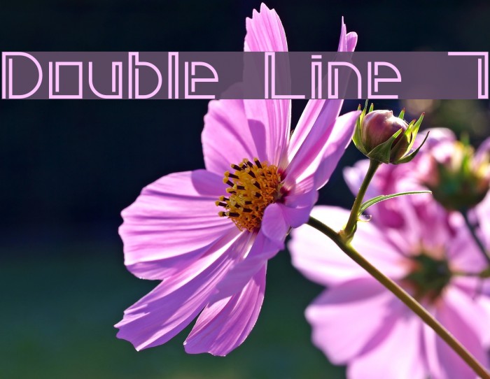 Double Line 7 Font examples