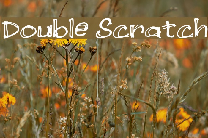 Double Scratch لخطوط تنزيل examples
