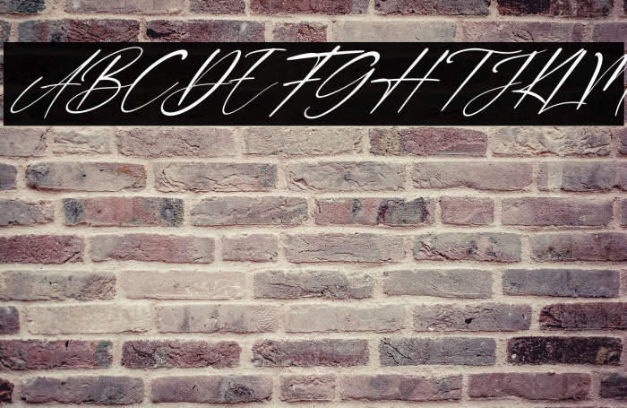 Double Signature Italic Example 3