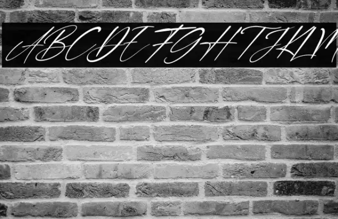 Double Signature Italic Example 3