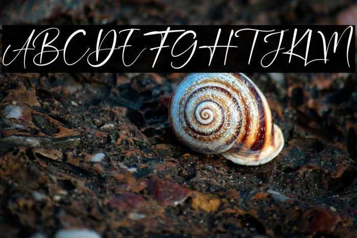 Double Signature Example 1