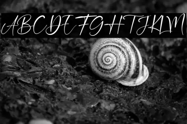 Double Signature Example 1