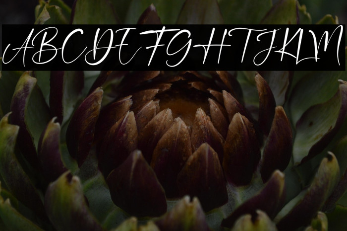 Double Signature Example 3