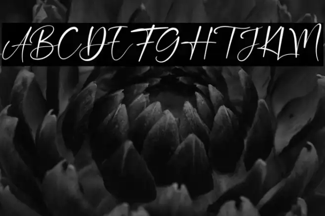 Double Signature Example 3