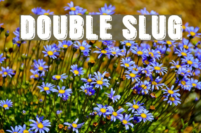 Double Slug Font examples