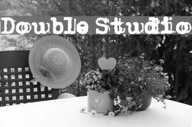 Double Studio خط examples