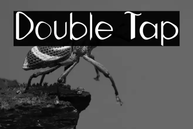 Double Tap Font examples