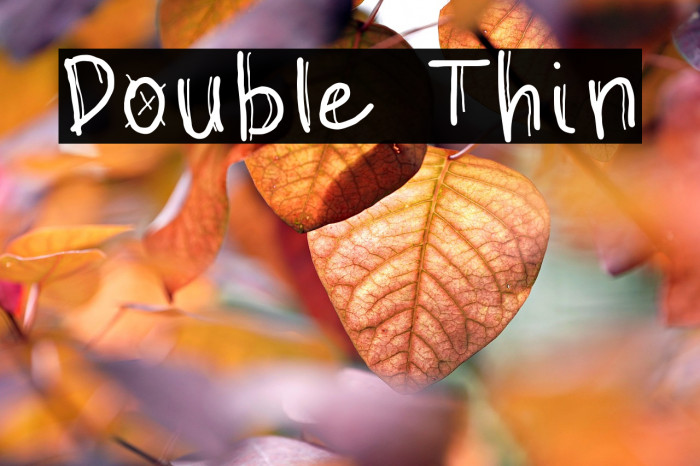 Double Thin Example 2