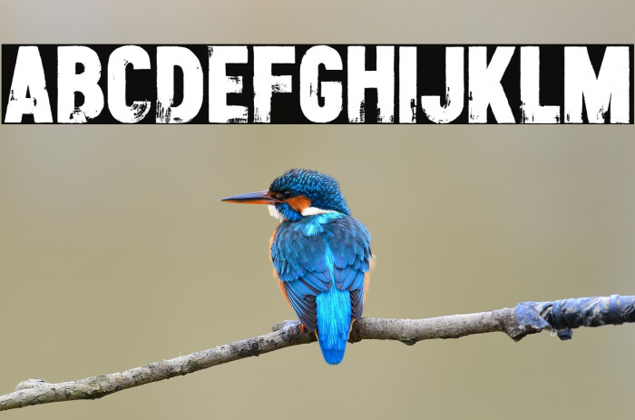 Double Tracker Example 2