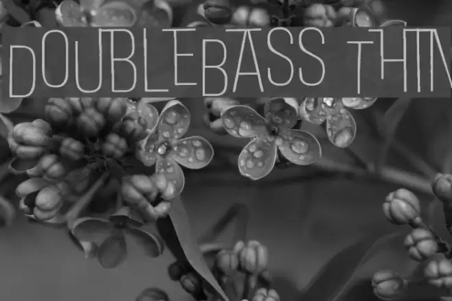 DoubleBass Thin Font examples