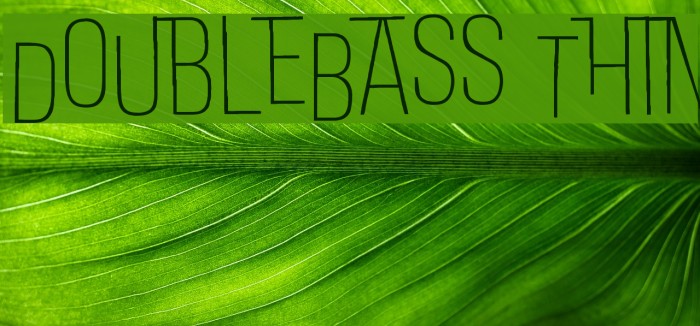 DoubleBass Thin Example 3