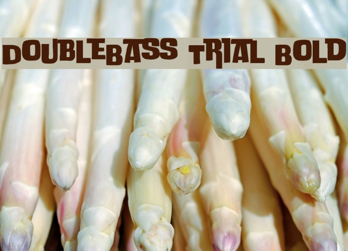 DoubleBass Trial Bold Font examples