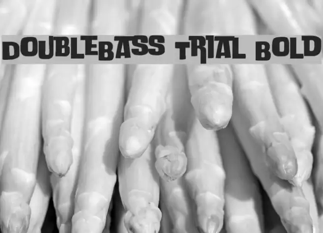DoubleBass Trial Bold Example 3