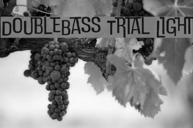 DoubleBass Trial Light Font examples