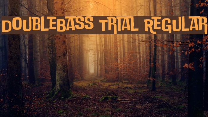 DoubleBass Trial Regular Font examples