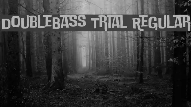 DoubleBass Trial Regular Example 1