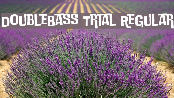 DoubleBass Trial Regular Font examples