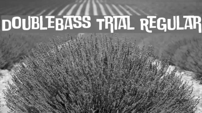 DoubleBass Trial Regular Example 2