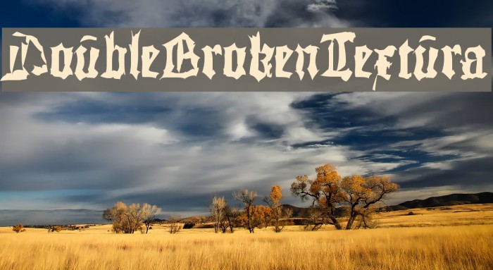 DoubleBrokenTextura Шрифта examples