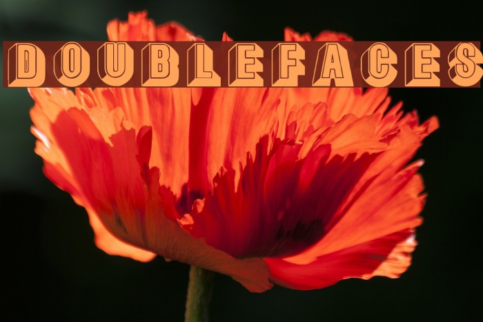 DoubleFaces Font examples