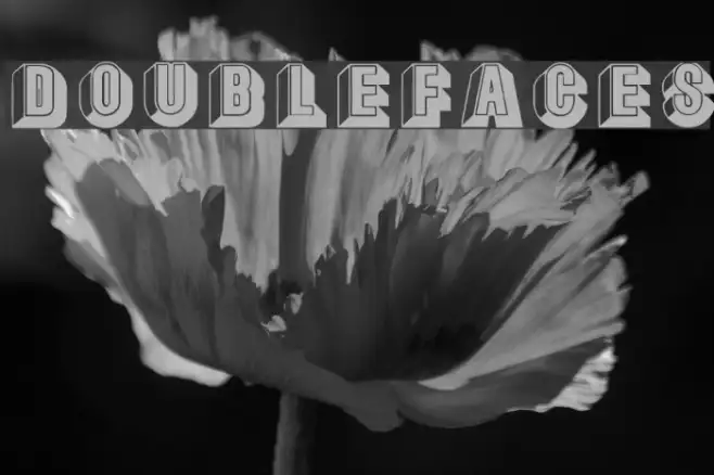 DoubleFaces Example 2