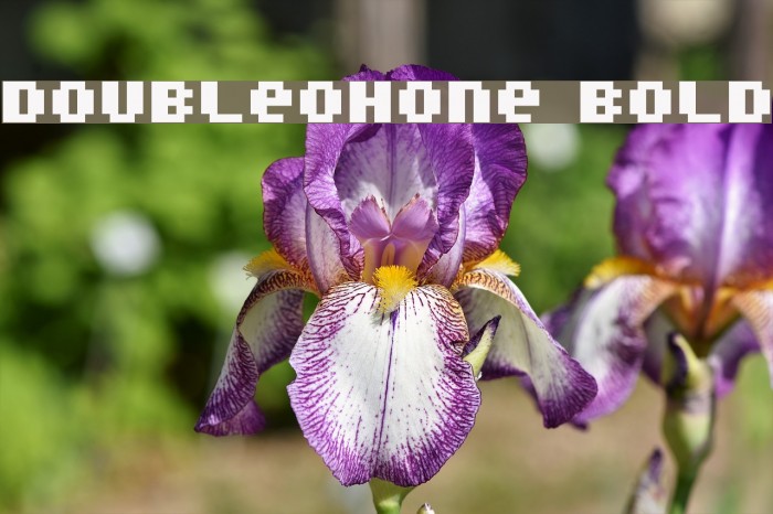 DoubleOhOne Bold Font examples