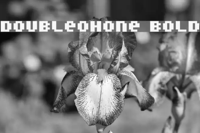 DoubleOhOne Bold Example 1