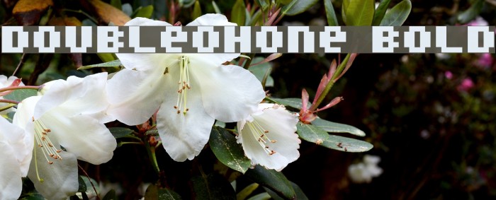 DoubleOhOne Bold Font examples