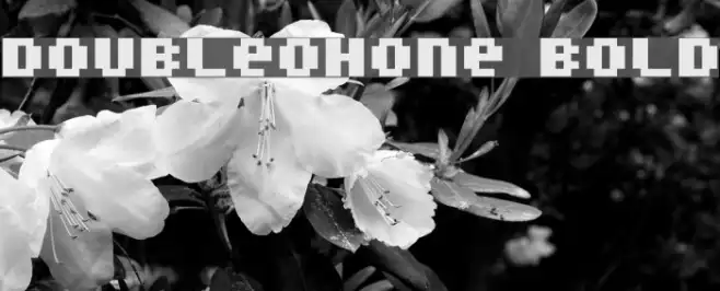 DoubleOhOne Bold Example 2