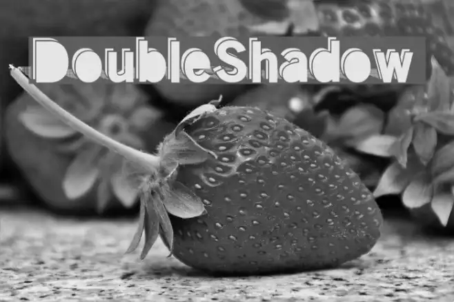 DoubleShadow Example 2