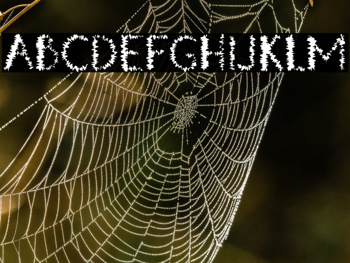 DoubleTap H Example 2