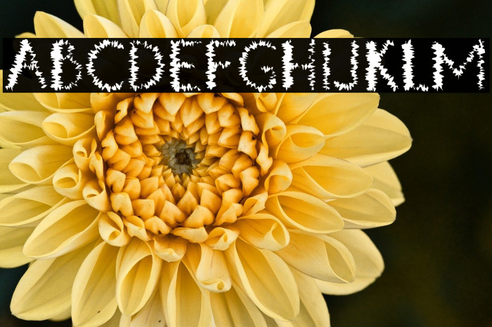 DoubleTap H Example 3