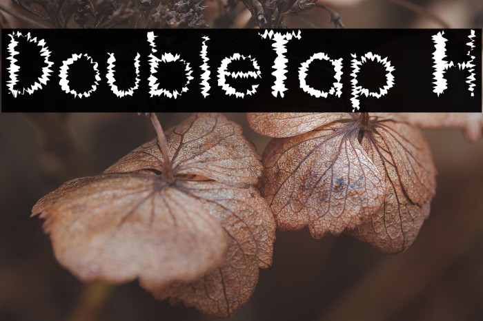 DoubleTap H Example 1