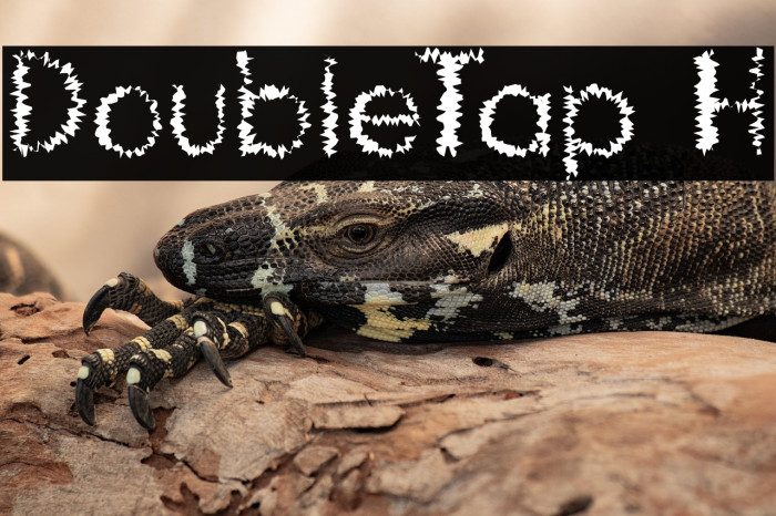 DoubleTap H Example 3