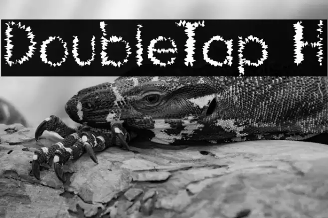 DoubleTap H Font examples