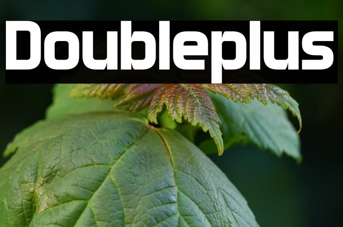 Doubleplus Example 2