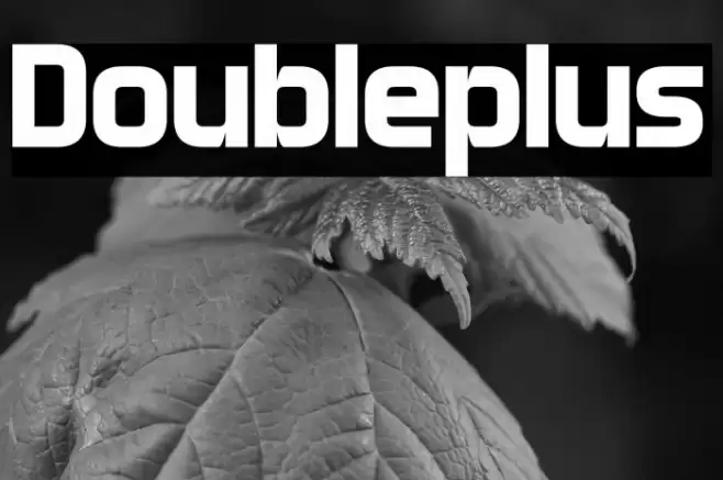 Doubleplus خط examples