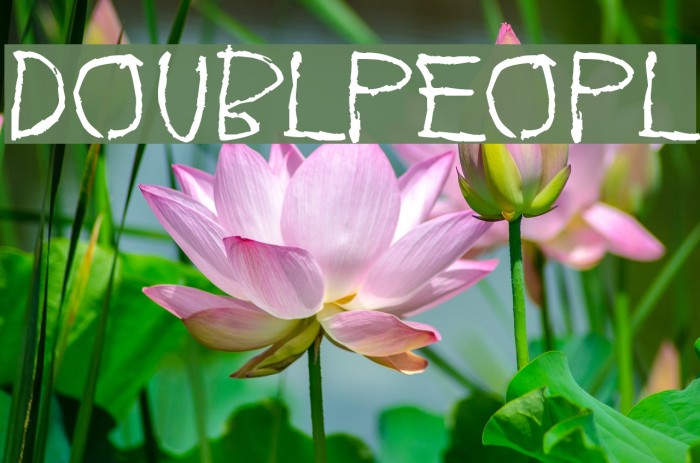 Doublpeopl Font examples