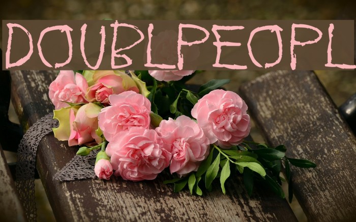 Doublpeopl Example 3