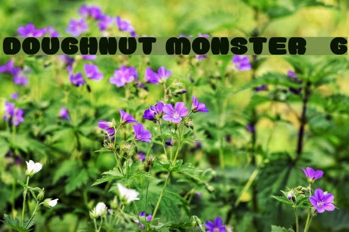 Doughnut Monster__G Font examples