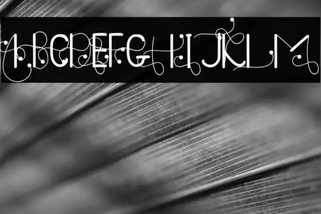 Doughnutz Font examples