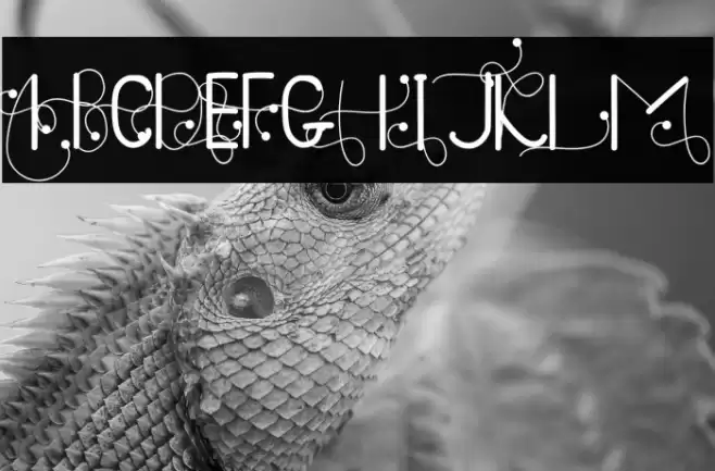 Doughnutz Font examples