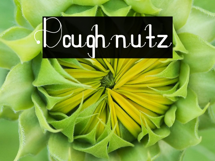 Doughnutz Example 2