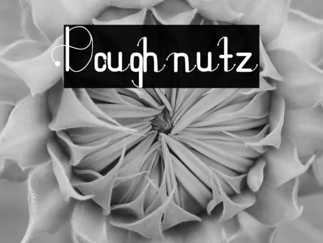 Doughnutz Font examples