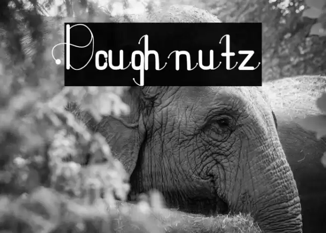 Doughnutz Font examples